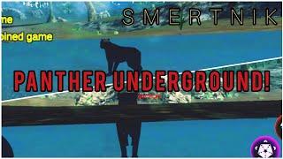 Panther Online.The hack Underground.By S M E R T N I K