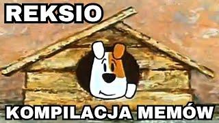 Reksio - kompilacja memów