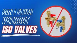 Can I Flush a Tankless Water Heater Without Isolation Valves?