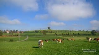 4K Autumn Kanton Zug SWITZERLAND スイス