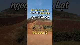 Đất vườn ngoại ô Đà Lạt siêu đẹp #batdongsan #dalat #lamdong #nhadatvendalat #nhadatlamdong #datvuon