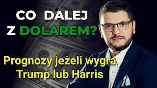 Dolar rośnie w siłę. Prognozy dla kursu jeżeli wygra Donald Trump lub Kamala Harris