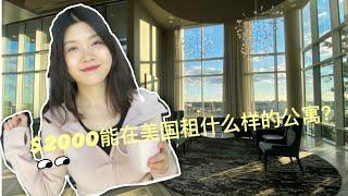 apartment tour | 参观我在美国的家 ｜开箱华盛顿1b1b公寓 ｜apartment in Washington DC