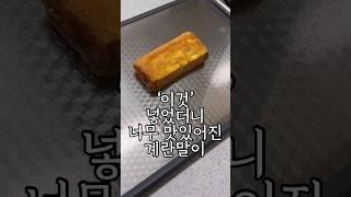 제발 계란말이에 이거 하나만 넣어주세요 조온맛 [ 계란말이 만들기 ]