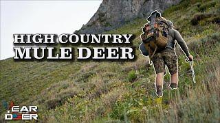 High Country Archery Mule Deer Hunt | 4K FILM