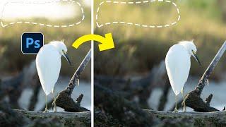 Why Content-Aware Fill is STILL a MUST-KNOW Photoshop Tool