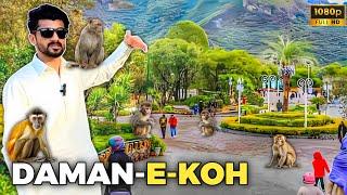 Daman-e-Koh | Complete Tour | Guide and Beauty of | Islamabad