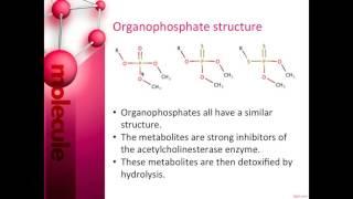 Methyl Parathion