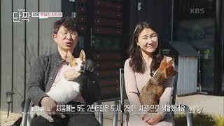 양평 펫밀리 차차차 [동물극장 단짝] | KBS 230325 방송