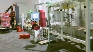 Granules packing machine integrated with manipulator pickup carton packaging line