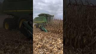 First Week Of Corn Harvest