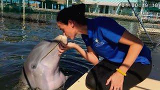 Dr. Jo, The Dolphin Whisperer!