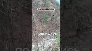 Шуба #шутки #прикол #юмор #ржака #приколы #анекдоты