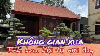 Thăm vườn Chú Hiếu,nga thanh, nga son 0983650834. Cây đẹp, không gian nhà việt xưa kết hợp hiện đại