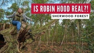 Sherwood Forest Is Real | Robin Hood Nottingham | England Road Trip Travel Vlog 25