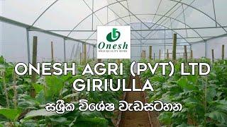 ගිරිඋල්ල Onesh Agro (PVT) Ltd පටිගත කරන ලද සශ්‍රීක වැඩසටහන ‍ | සශ්‍රීක | Shashrika | EP-01