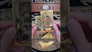 Tarot Card Pull: Page of Cups and The Chariot Meaning