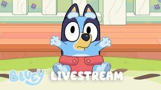 LIVE: BLUEY FULL EPISODES LIVESTREAM