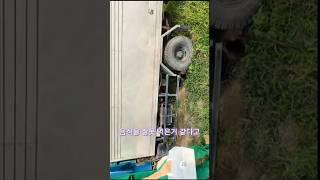 음식을 잘못 먹은 어미와 새끼들