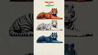 Tiger  Art  Indian Flag art  Independence day special art #art #shorts #short #tiger