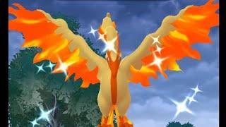 Catching Shiny Galarian Moltres UNEDITED - Pokémon GO