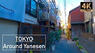  WALK in old STREETS in TOKYO - Around YANESEN - Around noon ⎡ 4K ⎦