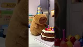 Happy Birthday~ Part2 #cute #capybara #funnyanimals #healing #happybirthday