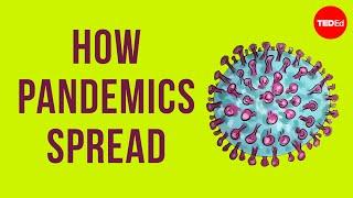 How pandemics spread