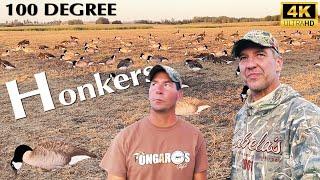 100 Degree Honkers | Hired to Hunt Duck & Goose Hunting Limits in Alberta @Cabela-s @divebombsquad