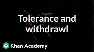 Tolerance and withdrawal | Processing the Environment | MCAT | Khan Academy