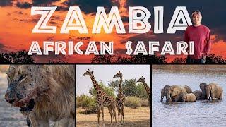 [TRAILER] Zambia, Part 1: African Safari at South Luangwa National Park