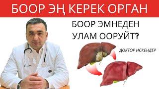 БООРУ ООРУГАНДАР ТЕЗ КӨРСҮН! БООР ЭМНЕГЕ ООРУЙТ? БООР ООРУГАНДА КИМГЕ КАЙРЫЛУУ КЕРЕК?