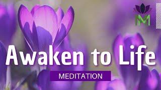 Awakening Fully to Life by Embracing Emotions | 20 Minute Mindfulness Meditation | Mindful Movement