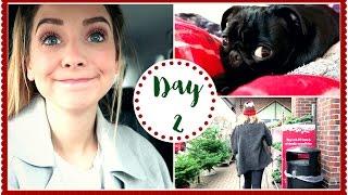 FESTIVE FOOD SHOPPING | VLOGMAS