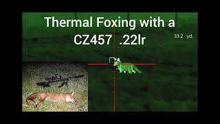 Thermal Foxing With A CZ457. 22lr