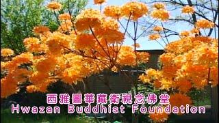 歡迎蒞臨【西雅圖華藏衛視念佛堂】Hwazan Buddhist Foundation