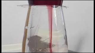 Home Science: (Ex)changing Water to Wine 