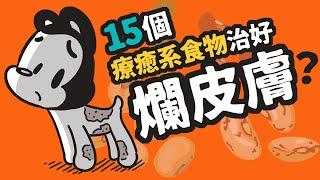 狗與鹿 ｜吃對15種對狗狗皮膚好的食物  | 狗狗暖知識