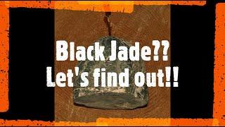 Washington Black Jade?  Let's find out!  Part 1  #thefinders