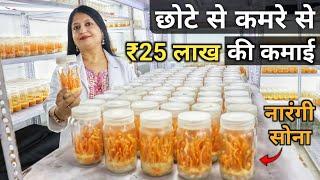 घर पर कीड़ा जड़ी मशरूम उगाकर मोटा पैसा कमाती महिला | Cordyceps Militaris | Keeda Jadi Farming