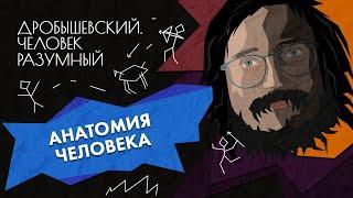 Как эволюционирует человеческое тело // Дробышевский. Человек разумный