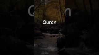 Surah Al Nisa Ayat 167-170 Urdu translation #quranurdutranslation #shorts #islamic