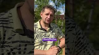 Терапевтическое видео! #ВладимирМикаев #терапевтическиесказки #парапсихолог #благополучие