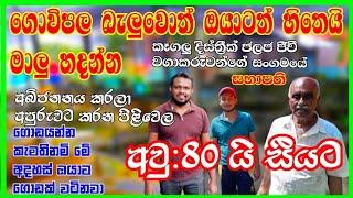 අවු 80 වයස සීයාගේ විසිතුරු මත්ස්‍ය ගොවිපල | ජීවිතය ගොඩ යන්න මෙන්න අදහස් | fish farm in sri lanka