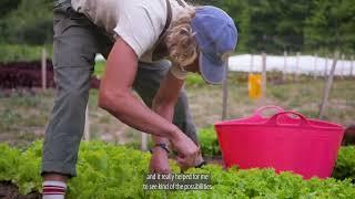Crosshatch Carbon Farming & Forestry Cohorts Program