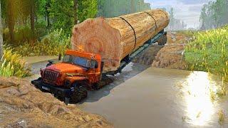 heavy logging on the most dangerous roads in the world