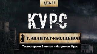 67. Тестостерона Энантат + Болденон | Курс (Химический Бункер)