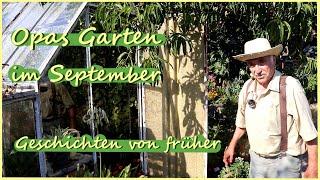 Opas Garten im September - Geschichten von früher