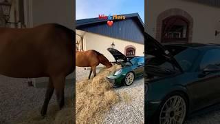 His & Hers.  #porsche #horse #car #couplegoals #youtubecars #youtubeshorts