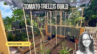 Building A Tomato Trellis & Repairing & Refurbishing My Greenhouse | Progress 40